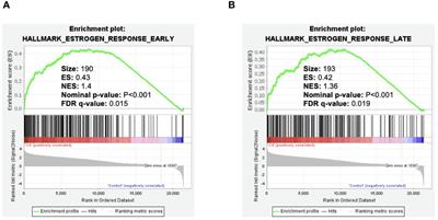 Cadmium activation of wild-type and constitutively active estrogen receptor alpha